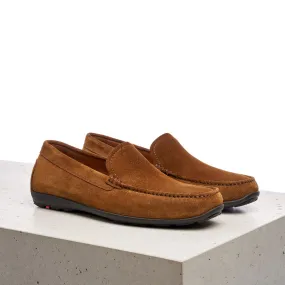 EMILIO Suede Loafer Tobacco ART. 12-430-25