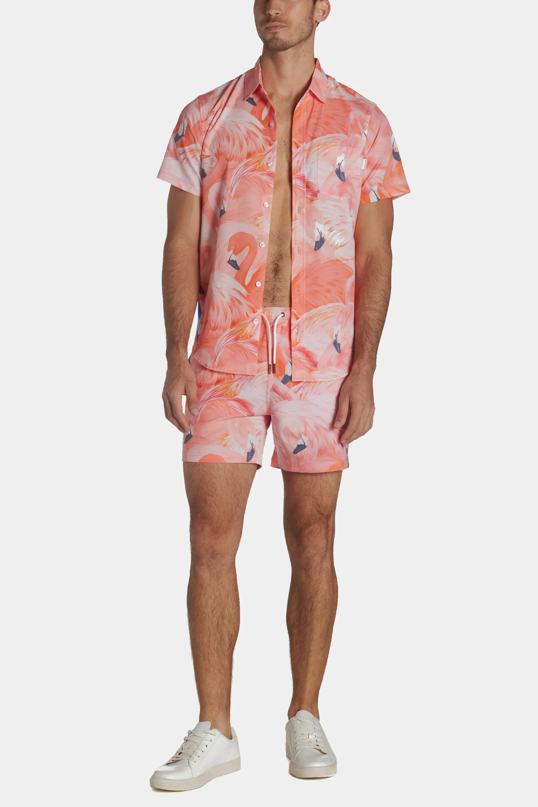 Flamingo Swim Shorts