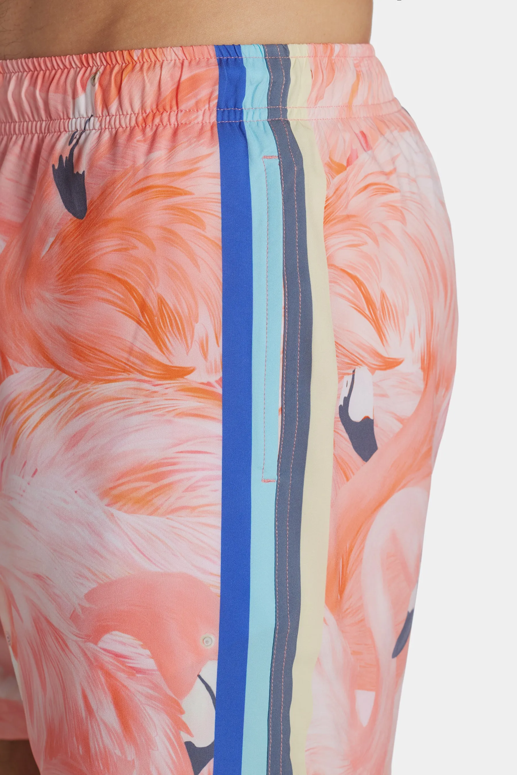 Flamingo Swim Shorts